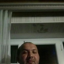 �����, ��������, 46 ���