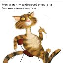  Arina, , 46  -  6  2019    