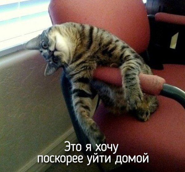 ***Victoria Viktorovna*** - 4  2019  09:25