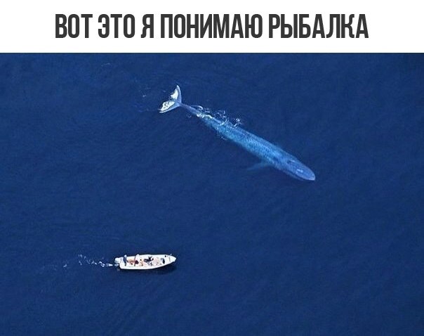   - 1  2019  19:08