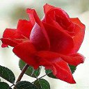 ���� ���������, �����, 69 ��� - ��������� 19 ���� 2019 � ������ ���� ����������