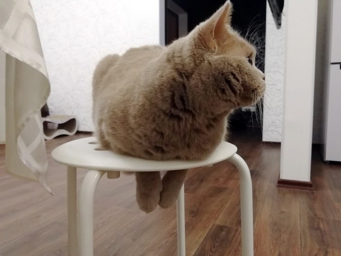   ,    ,   :