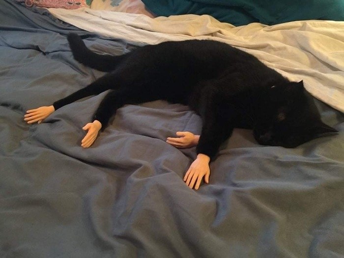     ,    