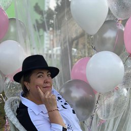 �����, �����������, 66 ���