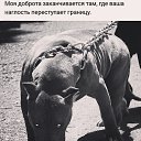 ���� ������, ������������, 51 ��� - ��������� 24 ������� 2019