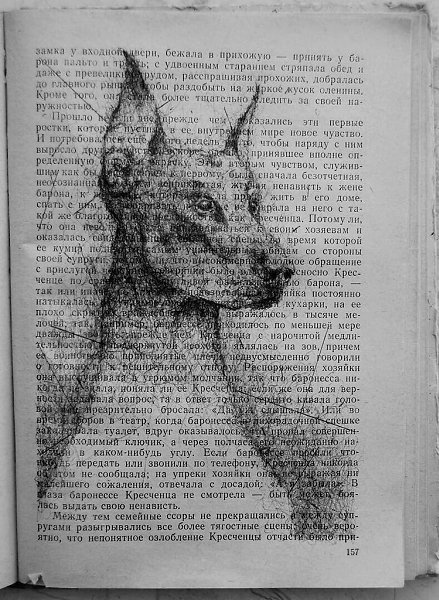   :    Decay      ... - 4