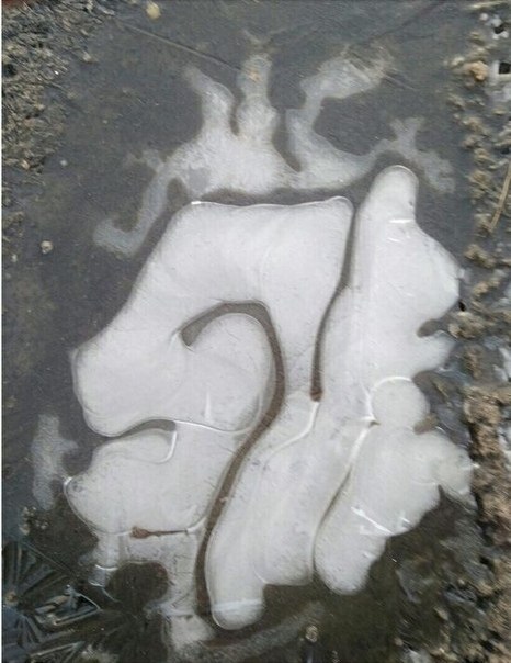      ?