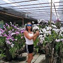  , , 53  -  22  2019    2019