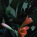 ���� �����, �����������, 56 ��� - ��������� 7 ���� 2019 � ������ ������ ��������