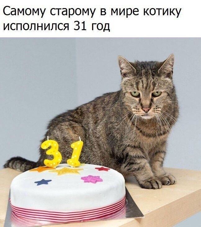    :D - 2  2019  17:29
