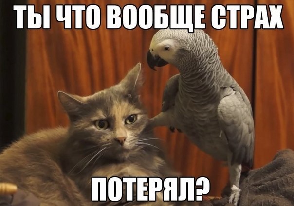 ☆ ☆ - 30  2019  03:52