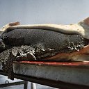 ������� �� ������� �� ������� �������� ���Ȼ