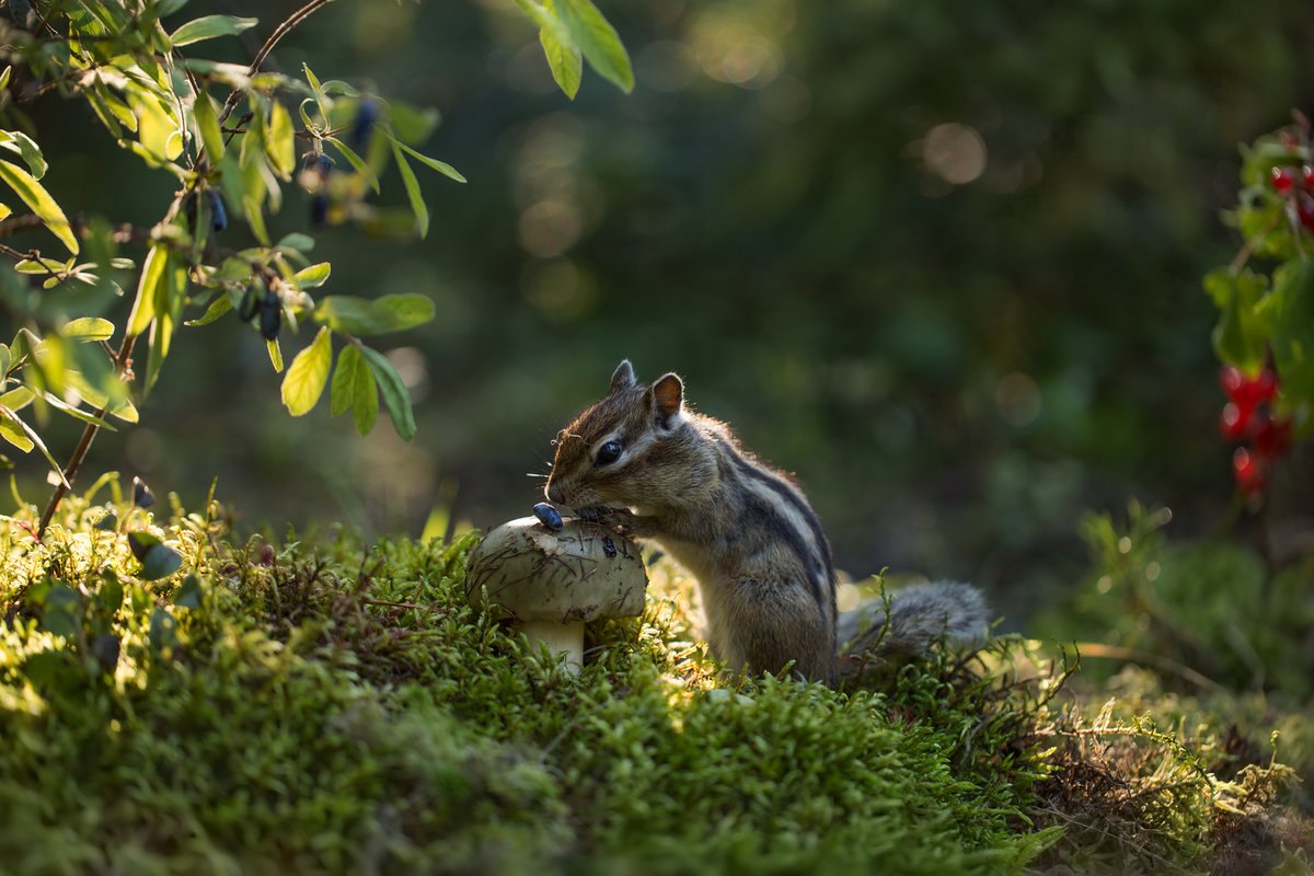 �������� �������! - 11 �������� 2019 � 07:55 - 3