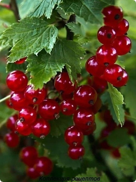   - 15  2019  18:28 - 4