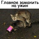 ���� ���������, �����, 46 ��� - ��������� 26 �������� 2019