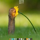 ���� Alexandr, ������, 50 ��� - ��������� 20 ������� 2019 � ������ ������ ��������