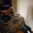 ���� ����, ������� �����, 45 ��� - ��������� 29 ������ 2019 � ������ ���� ����������