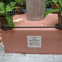  Ed, , 56  -  10  2019    