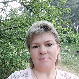 �������, �������, 49 ���