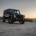 ���� ���������, �����������, 27 ��� - ��������� 19 ������� 2019