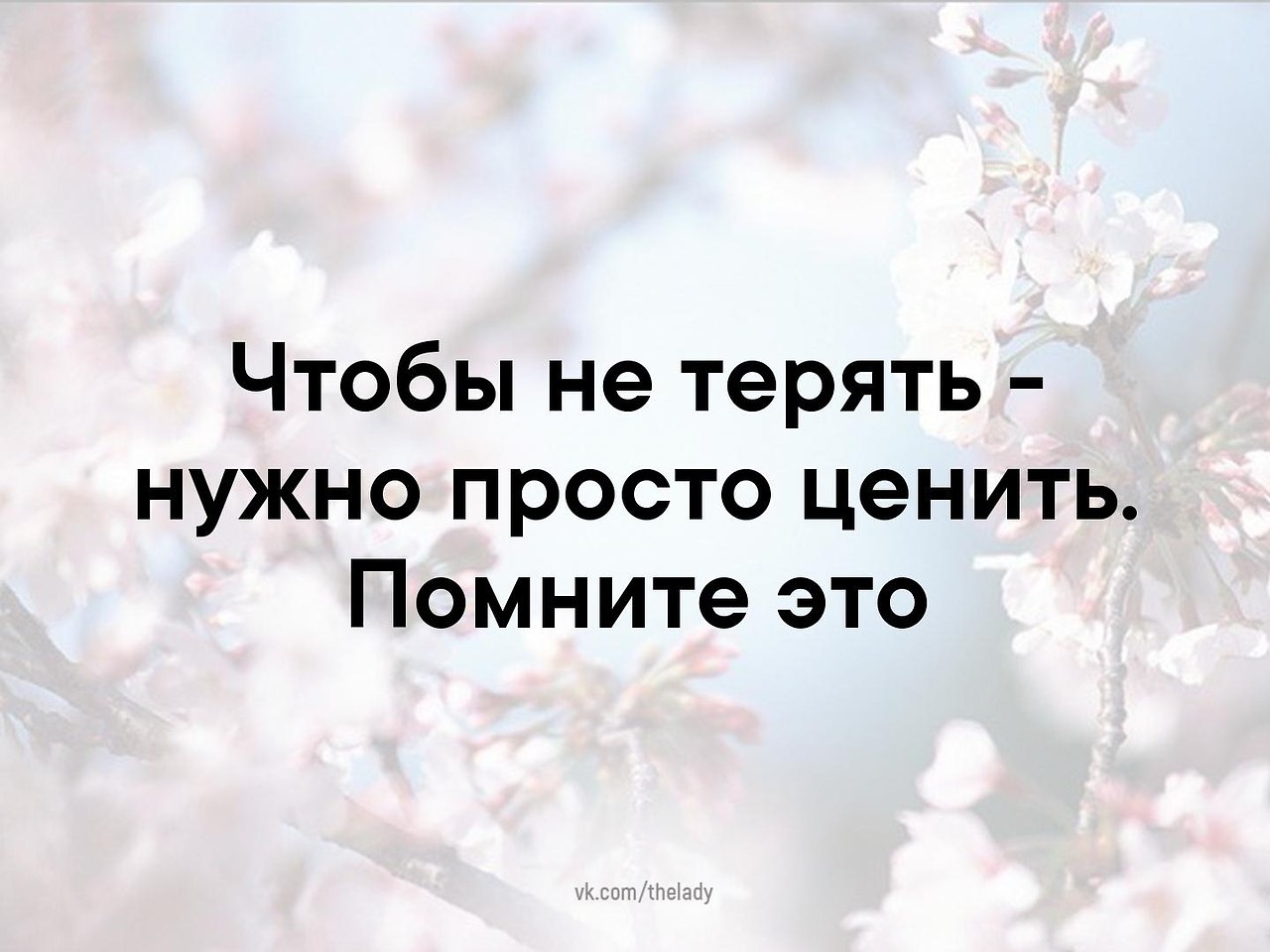 The Lady - 13  2019  03:36