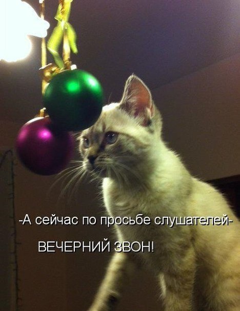    - 2  2020  19:04