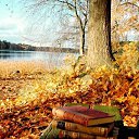 ���� Xxx, ������ - ��������� 29 �������� 2019 � ������ ���� ����������