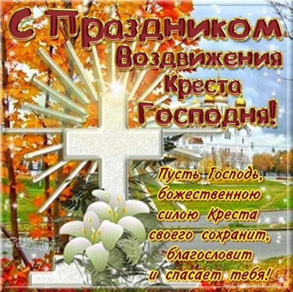 - - 27  2019  12:50