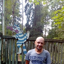 ���� ������� ����������, �������� - ��������� 2 ���� 2019