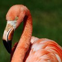 ���� ����, ������� - ��������� 22 ���� 2019 � ������ �������