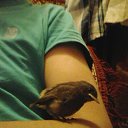 ���� �, ����� - ��������� 29 ������� 2019 � ������ ���� ����������