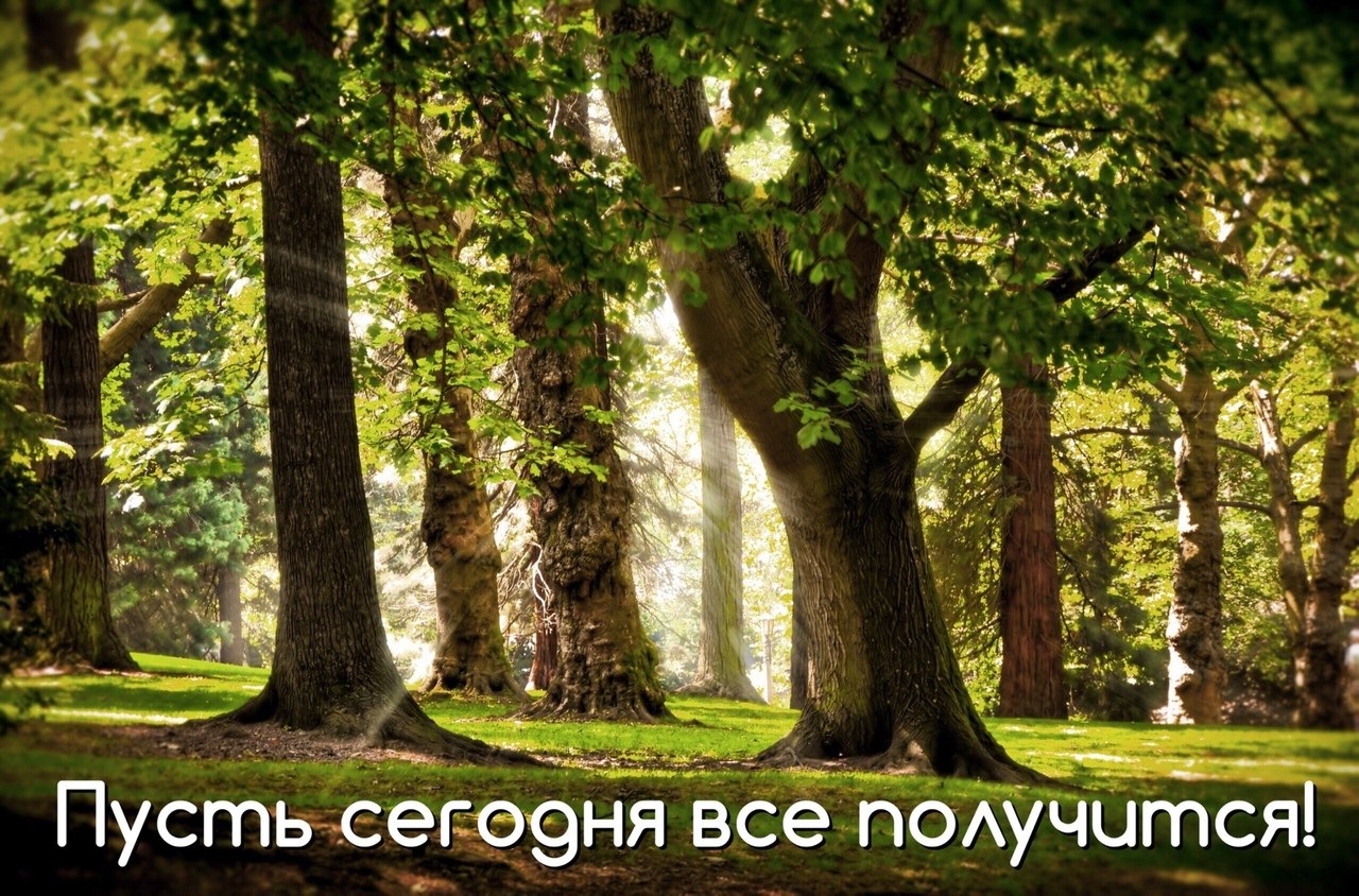   ,    . - 18  2019  10:20