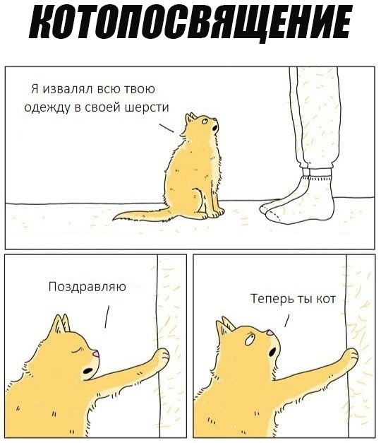   - 5  2019  03:51
