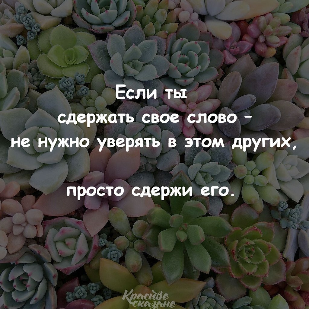   . . . - 12  2019  02:04