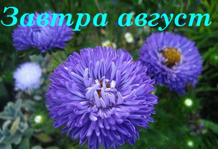   ,    . - 31  2019  13:40