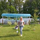 ���� ������, ���� - ��������� 26 ��� 2019 � ������ ���� ����������