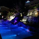  , -, 56  -  29  2019    