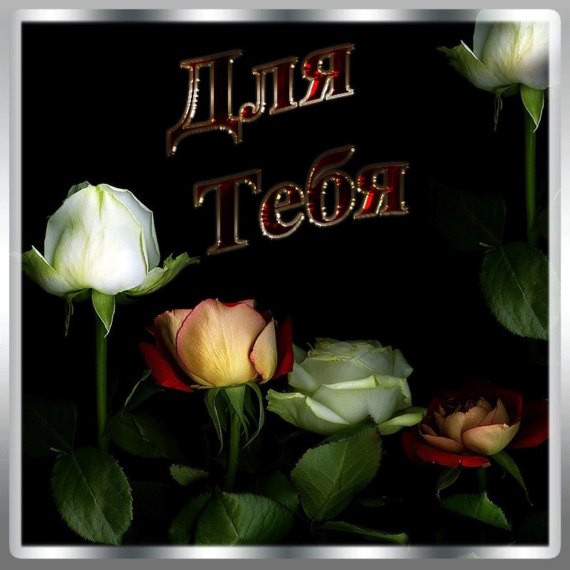   ,    . - 28  2019  19:40