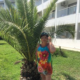 ���� �����, ����� - ��������� 26 ���� 2019