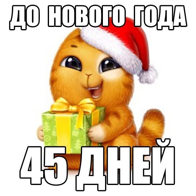   - 16  2019  19:02