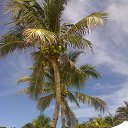 ���� ����, ������� ����, 63 ���� - ��������� 15 ������� 2019 � ������ ���� ����������