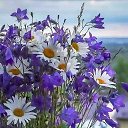 ���� Lydia-m, ��������, 58 ��� - ��������� 4 ������ 2019 � ������ ���� ����������