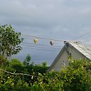 ���� Tadeusz, �����, 63 ���� - ��������� 14 ���� 2019 � ������ ���� ����������