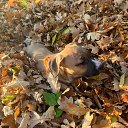 ���� ������, ������, 59 ��� - ��������� 28 ������� 2019 � ������ ���� ����������