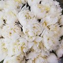 ���� ��������, �����-���������, 52 ���� - ��������� 14 ���� 2019 � ������ �Instagram Photos�