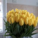    , -- -  1  2019   ...   ...