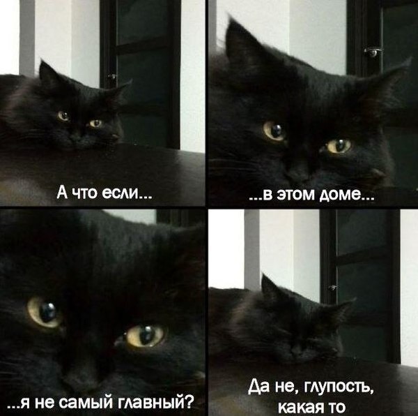    - 12  2019  19:04