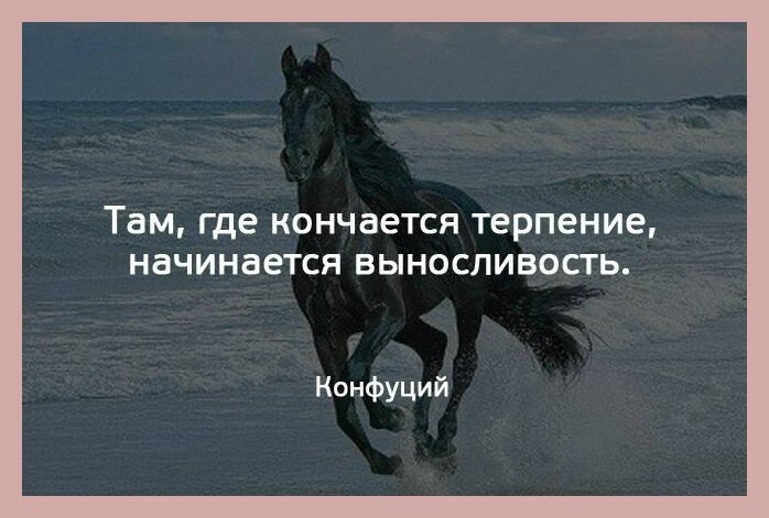 ☆ ☆ - 31  2019  18:53