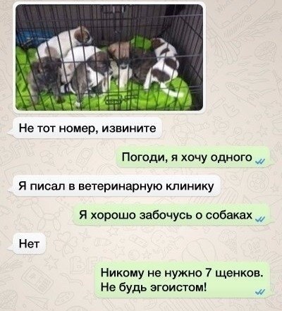   -  ,    - 5