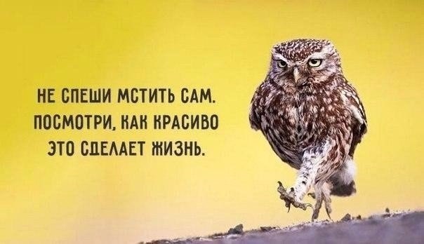     : - 4